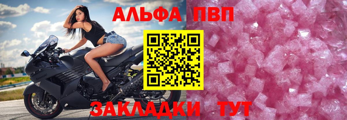 Alfa_PVP СК КРИС Аргун