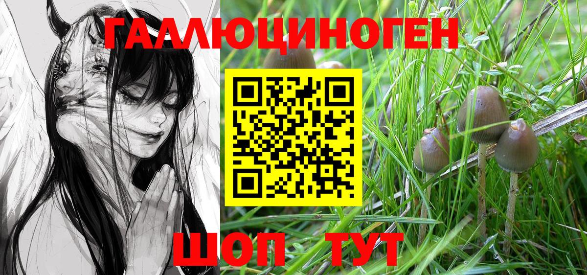 Галлюциногенные грибы GOLDEN TEACHER Аргун