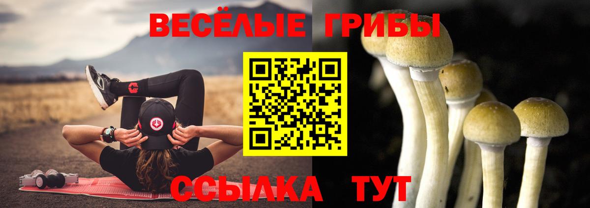 Галлюциногенные грибы Psilocybine cubensis  Вход с VPN  Аргун  Галлюциногенные грибы прущие грибы 